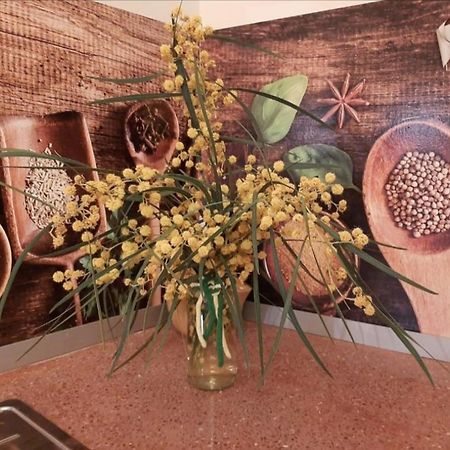 Comodo Apartamento Deltebre Dış mekan fotoğraf